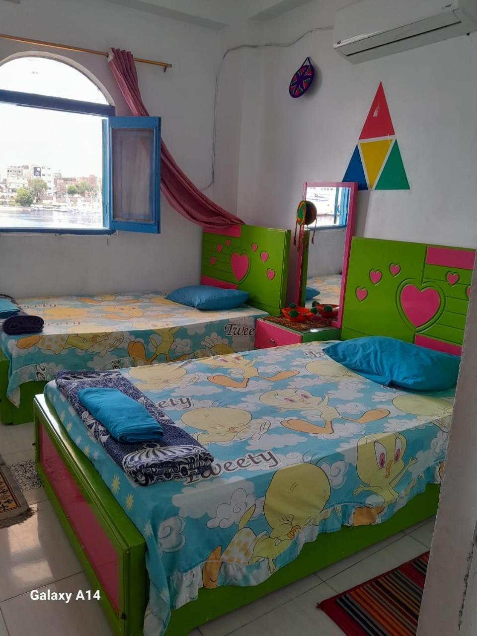 Nile View Rana Nubian Guest Houes Hotel Aswan Exterior photo